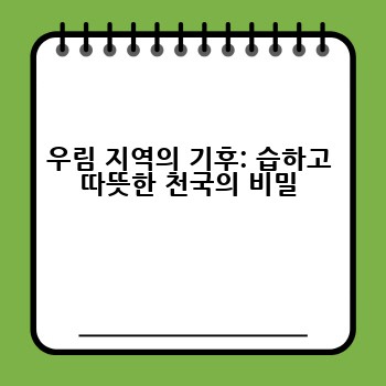 우림 지역의 기후: 습하고 따뜻한 천국의 비밀