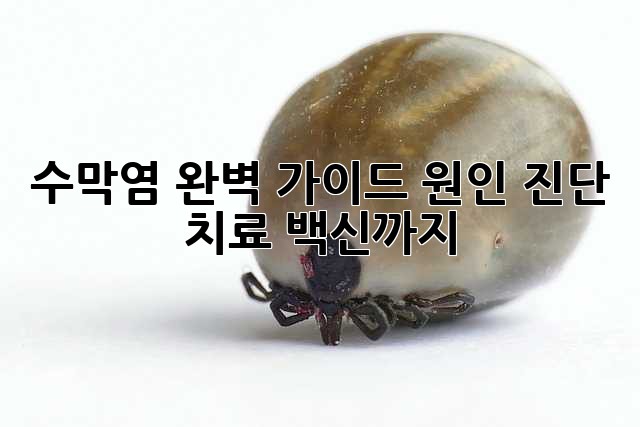 수막염 완벽 가이드: 원인, 진단, 치료, 백신까지