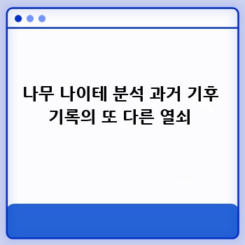 나무 나이테 분석 과거 기후 기록의 또 다른 열쇠