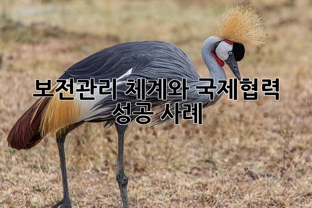 보전관리: 체계와 국제협력 성공 사례