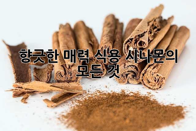 향긋한 매력, 식용 시나몬의 모든 것
