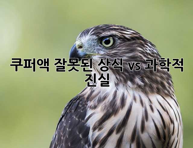 쿠퍼액: 잘못된 상식 vs. 과학적 진실