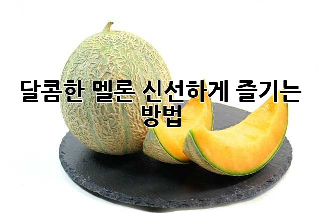 달콤한 멜론, 신선하게 즐기는 방법!