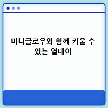 미니글로우와 함께 키울 수 있는 열대어