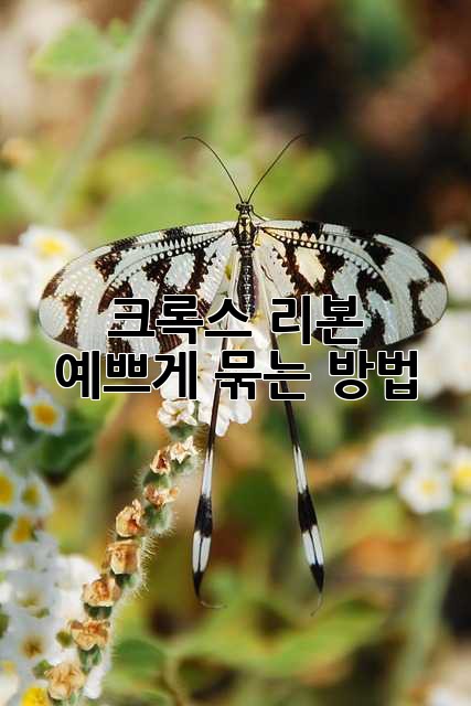 크록스 리본 예쁘게 묶는 방법