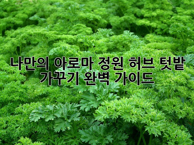 나만의 아로마 정원: 허브 텃밭 가꾸기 완벽 가이드