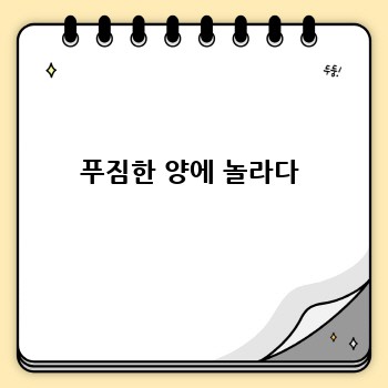 푸짐한 양에 놀라다