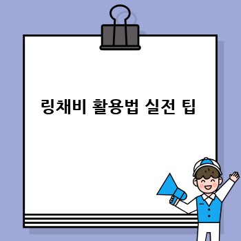 링채비 활용법 실전 팁