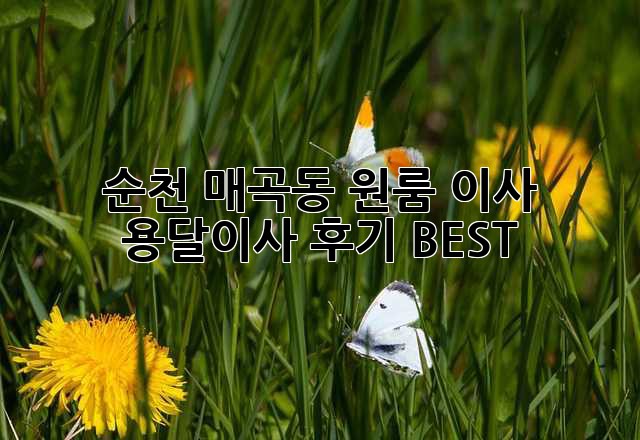 순천 매곡동 원룸 이사, 용달이사 후기 BEST